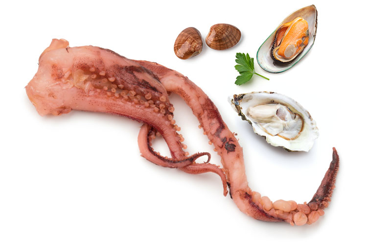 A chunk of octopus with three laps, two clams, an open oyster, and an open muscle